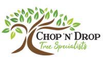 Chop ‘n’ Drop Tree Specialists are professional arborists, providing quality tree removal, tree lopping and emergency tree services in Newcastle, Hunter Valley, Lake Macquarie etc.
