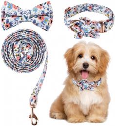 Wow Doggie Wolf offers the Best Dog Collars that are built to last with pure fabric. Get Bow tie collar, Flower collar, Leash, Harness, Bandana, Poop and bag holder! Best Dog Collars! 
For additional info click here: https://wowdoggie.com/
