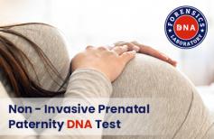 A Prenatal Paternity Test is usually done for individuals and families who cannot want to wait until childbirth to prove their paternity. Getting a Non-Invasive Prenatal Paternity DNA Test is safe and permissible for nine weeks or older pregnancy by taking a DNA sample from the cheeks of the alleged father using a sterile buccal swab and taking the mother's blood sample safely. So, call DNA Forensics Laboratory Pvt. Ltd. now at +91 8010177771 and WhatsApp at +91 9213177771 to learn more about the process.