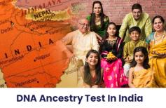 Ancestry DNA Origins Test fills the void by giving you a complete picture, taking into account the contributions of parents outside direct maternal and paternal lineages. At DNA Forensics Laboratory Pvt. Ltd., we provide the Ancestry DNA test that examines the markers found in your 22 pairs of autosomes and identifies your ancestry's origin. All these estimates are represented by ancestral estimates for four populations: European, Amerindian, African, sub-Saharan, and Eastern. To learn more about the process, call us now at +91 8010177771 and WhatsApp at +91 9213177771.