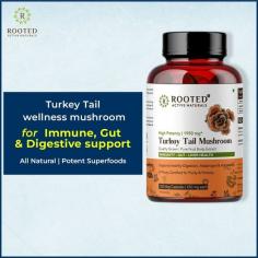 Turkey Tail Mushrooms have powerful healing properties. They are known to help fight cancer, improve gut & bone health, tone the liver, and regenerate new cells. Shop Now: https://bit.ly/3KNaWeA