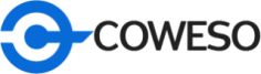 Coweso is a top company providing IT consulting in Sydney for Large and Small firms in Australia. Find us by searching for IT companies and IT services near me.
