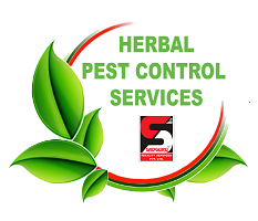 Pest Control Services in Malad, Sanitization Services, Cockroach and Ant Control Services, Pest Control Services in Mumbai, Lizard Control Services, Bed Bugs Control Services, Termite Control Services, Cockroach Control Services, Pest Control Services in Thane, Pest Control, Lizard and Spiders Control Services, Sadguru Facility, Ratguard, Pest Control Services, Rats and Rodents Control Services, Pest ControlNear Me, Bird Netting Control Services, Mosquito Control Services, Ratguard Control Services, Herbal Pest Control, Disinfection Services, Pest Control Services in Kandivali, Best Pest Control Services, Pest Control Services in Andheri, Pest Control Services in Borivali, Pest Control Services in Powai, Commercial Pest Control, Pest Control Services in Dadar, Residential Pest Control, Best Pest Control Services in Malad, Professional Pest Control, Pest Control Services in Dahisar,Pest Control Services in Goregaon, Pest Control India,  Sadguru Facility Services, Sadguru Pest Control. Call: 7208995500 / 8291960605