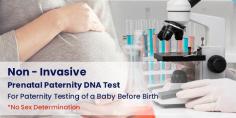 Due to any reason, if you want a DNA Test While Pregnant but you are scared about child safety. Don't worry; at DNA Forensics Laboratory Pvt. Ltd., we provide a Non Invasive Prenatal Paternity DNA Test while pregnant woman is still expecting the baby. It is 100% safe for the unborn baby as well as the mother. Getting a Prenatal Paternity DNA Test While Pregnant is safe and permissible for nine weeks or older pregnancy. So, call us now at +91 8010177771 and WhatsApp at +91 9213177771 to book your appointment.
