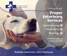 Kamloops Veterinary clinic where in we meet the puppy care desires of Kamloops, BC

Welcome to Kamloops Vet Clinic where we meet the pet care needs of Kamloops, BC. We offer comprehensive senior pet health care, surgery, radiology, dental care services, and more. We have Road Animal Hospital which is committed to keeping healthy animals year-round.