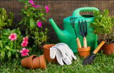 Everyone dreams of having an amazing garden, full of lush plants and flowers. But doing it yourself can be a daunting task, especially if you're not familiar with garden indoor gardening supplies . In this blog post, we'll be teaching you everything you need to know about garden planting, watering, fertilizing, and more! From choosing the right garden plants to constructing an amazing garden layout, we'll cover it all.