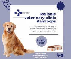 Book an appointment these days for senior pet care Kamloops

Get the best pet disease treatment Kamloops from expert veterinarians. We believe in a compassionate approach to your pet's health and do everything to treat and support them. Book an appointment today for senior pet care Kamloops and treat your furry friend with a happy and long life.