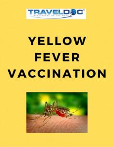 Yellow Fever is a serious viral infection that’s usually spread by a type of daytime biting mosquito known as the Aedes aegypti. It can be prevented with a vaccination.

Know more: https://www.travel-doc.com/service/yellowfever/