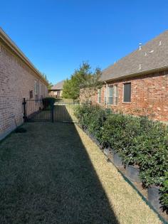 Lawn Maintenance by Green Forest Sprinklers

A beautiful lawn featuring lush greenery is pleasing to the eyes, though lack of maintenance can make the lawn full of weeds and bushes. Both commercial and residential lawns should undergo regular maintenance, and Green Forest Sprinklers is your destination for such services in Texas. We have years of experience in lawn maintenance. Our executives are poised with exceptional skills and advanced instruments to complete the job ensuring 100% satisfactory experience.

Green Forest Sprinklers includes multiple services in the lawn maintenance job, and some of those services are listed in the following section.

Know more: https://greenforestsprinklers.com/lawn-maintenance/