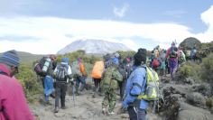 5 Days Climbing Rongai Route

Umbwe route is the hidden treasures of Kilimanjaro. A vertical slog that goes on top of Kilimanjaro through the most beautiful quiet jungle that emerges from a steep path at Barranco camp to join the southern circular route. Most climbers prefer to tackle Kibo via the normal southern east circular route round to Barafu the base camp and approach the summit from there.

Know more: https://travelsolidarity.tours/tour-item/6-days-climb-umbwe-route/