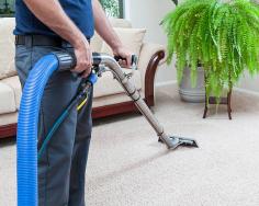 Why it’s best to seek help from professionals for carpet cleaning Toronto


Do you have messy carpets? If yes, hire professionals for carpet cleaning Toronto? Confused, how to select the best one from plenty of options available? Why not, since it requires skills and expertise to clean the carpet well! Carpets look beautiful and it’s something that enhances the look of your office. Isn’t it? However, if not maintained well, it will lose its shine and will shine for a long time. Click on the given link to read the full article.