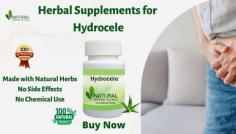 Hydrocele Herbal Treatment might be quite helpful in reducing swelling. This naturally occurring formula works as intended.
