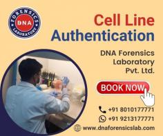Cell-line authentication is verifying the identity of the cells used in your experiments. It often includes confirming that cell lines are derived from the correct species and donor and that they are contamination-free. DNA Forensics Laboratory uses standardized techniques for a cell line authentication test. It includes detecting the misidentified, genetically drifted, or cross-contaminated cells that invalidate research results. We are among India's most trusted DNA Testing companies for Cell Line Authentication Tests. Our clients are various esteemed research institutes, pharmaceutical companies, and biotechnology companies. For further queries, call us at +91 8010177771 or WhatsApp at +91 9213177771. For more details, visit our website.