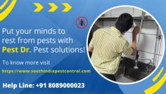 If you can see pests, you can kill them! We provide all kinds of Best pest control in Chennai and around Chennai. Our experienced team of pest control experts uses the best pest control techniques to keep your home or office free from pests like rodents, termites, and others.
Visit: https://www.southindiapestcontrol.com/pest-control-services-in-chennai/