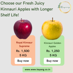 Buy Excellent Quality Traditional Apples of Kinnaur Online at Kayang.co.in!