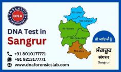 DNA Forensics Laboratory Pvt. Ltd. is a reputable company in India that offers NABL-accredited test results for different types of DNA tests in Sangrur. We provide 100% accurate and reliable DNA Tests in Sangrur and across India. Furthermore, we are the only company that offers legal DNA tests in India. For further queries regarding DNA tests in Sangrur, call+91 8010177771, or you can also WhatsApp at +91 9213177771. For more detailed information, go through our blog.