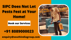 Pests are not only annoying to see, but they can also be bad for your health. This is because these pests carry germs and bacteria on their bodies which can cause diseases. If you have pest infestations, or any other type of pest in your home, then call SIPC today. We'll provide you with the best pest control services in Bangalore. Why wait? Call us today! Call: 8089000023.

