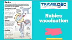 Pre-exposure vaccination is a highly effective measure in lowering the risk of this disease following a bite or scratch from a suspected rabid animal. Pre-exposure vaccination does NOT just “buy you time”. Vaccinations against rabies has taken on added importance since human rabies immunoglobulin (the antidote called HRIG) has been in limited supply in the countries where the rabies risk is highest – East Asia (India, Thailand, Vietnam, Cambodia, Laos, Indonesia including Bali, etc.), Sub-Saharan Africa and Latin America.

Know more: https://www.travel-doc.com/service/rabies/