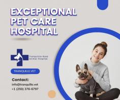Best vets in Kamloops are committed to keeping your pets healthy

Welcome to Animal Clinic Kamloops where we meet the pet care needs of Kamloops, BC. We offer comprehensive senior pet health care, surgery, radiology, dental care services, and more. We have the Best vets in Kamloops who are committed to keeping your pets healthy year-round.