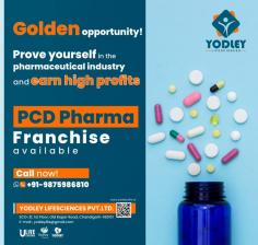 Searching for Pharma Distributorship In Bihar? Then choose Yodley Lifesciences because we've got everything you want! Right from experience to products, we are short of nothing; hence, we have become the best PCD Pharma Company in Bihar. Over 280+ associates trust our brand and are working hard to spread the business. 

Last year, a vast majority of our partners made significant profits and we are ready to do even better this year! 

There are some reasons why we have the top spots in this market. 

Demands: Bihar's market has welcomed and accepted Yodley's products and has a higher demand. Hence, we are well-established in Bihar's market. 

High-quality: Our products comply with WHO and GMP standards as well as are highly useful for the common public Bigger Margin: In order to maintain a harmonious bond with the distributors, we offer you a big margin in return for sincere efforts 

So what are you waiting for?
Here's your chance to join our fast-growing company

For more information: https://yodleylife.in/pharma-distributorship-in-bihar/