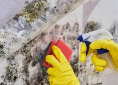 Once you’ve hired us for the job, we arrive at your home and start working. Our professionals wear safety gear throughout the job, including neoprene gloves and a high-filtration mask. If the mold situation in your house is severe, we also wear full protective suits. During mold removal; we will seal the area with plastic sealing to ensure the spores don’t spread to other areas in the house. As for the equipment, we use HEPA air scrubbers, dehumidifiers, and HEPA vacuums. Call us today  