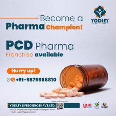 Pharma is one of the highest revenue industries in India, and one of the most important states to cover in this industry is Bihar. In the most recent reports, it has been found that UP and Bihar are the fastest emerging hotspots of India, and hence, there's a great scope for pharma business in this region. Don't miss your chance to work with the best PCD Pharma Franchise in Bihar.

Pharma Champs of Bihar Yodley Lifesciences is called Pharma Champs of Bihar in the market because, within a few years, YL has captured both big and small cities, and along with that, we have earned a significant margin in our products so far!

So what are you waiting for?
Choose the best PCD Pharma Franchise in Bihar and make higher profits!
Yodley LifeSciences

For more information: https://yodleylife.in/pcd-pharma-franchise-in-bihar/