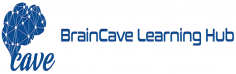 We are India's Most Trusted IT Training company as well as the top leading higher education company. 
https://braincavelearn.com/
