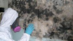 If you notice black, white, blue, or green stuff growing on the walls and in cracks, you should get in touch with our mold inspectors Atlanta GA for an Atlanta mold inspections. It’s likely that the same mold is also growing in other areas in your home. Furthermore, you should also opt for mold inspection Atlanta GA solutions after mold remediation. It’s important to know if you’ve gotten rid of every last bit of mold in the house. Get in touch with our mold inspectors Atlanta GA to find answers to all your Atlanta mold inspections queries. 