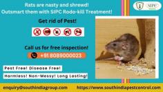 SIPC Pest Control provides the best rodent treatment in Chennai. Our Rat control with the latest methods and have a well-trained response team for your rat needs. Our services are very effective and easily solve rodent problems. Call SIPC now at 8089000023 to control rat problems. Call: 8089000023
Visit: https://www.southindiapestcontrol.com/rodent-control-chennai/