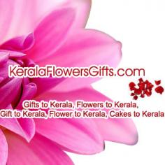 Cakes are a tasty treat that you can buy for your loved ones. They are shared and given on numerous occasions. If you've been considering surprising your loved ones in Kochi, this is without a doubt your best excursion through the keralaflowersgifts portal. Even if you're on a tight budget, you'll get the best fresh baked and handcrafted cakes here. So, what's preventing you from Sending Cakes in Kochi? Consider this your lucky opportunity to dazzle your special ones in Kochi. You will never be sorry if you come to find the right Cake Kochi through our e-gift gateway.