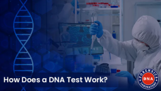 A DNA test can be a real-life solver; it is the only way to prove relationship identification for legal cases & peace of mind. However, the DNA testing cost depends on the kinds of DNA tests done & various other factors. DNA Forensics Laboratory offers 100% accurate, reliable, and accredited DNA tests in India at amazing prices. Our laboratory is the world leader in human identification tests, and we have been delivering accredited DNA testing services for many years. To learn more about the tests, call us at +91 8010177771 or WhatsApp at +91 9213177771.