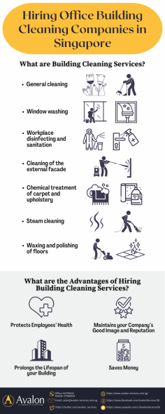 Professional office cleaners will allow you to maintain a clean and healthy working environment. They also have the right tools and know-how to clean your property from top to bottom, leaving it safe and germ-free. This infographic shows some cleaning tasks that office cleaning services in Singapore offer and the advantages of employing one.
