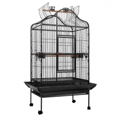 The most comfortable nest for your bird is without a doubt this beautiful and roomy Large Bird Cage with open top. Our bird cage structure is strong and long-lasting since it is composed of heavy-duty wrought iron with a vein powder-coated finish. This cage's dimensions are ideal for medium- and large-sized birds and parrots, giving them plenty of area to walk around.

Shop From Us :- https://ozzypets.com.au/collections/bird