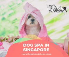 Taking your dog to a spa is becoming increasingly popular for pet owners. dog spa Singapore offer specialized services that can improve the wellbeing of your beloved companion, both physically and mentally. From pampering packages to specialized treatments, spas can help address skin conditions and give dogs a chance to relax at the same time. Additionally, salon-style grooming services are available for pets who need an extra touch up or coat improvement. Having well groomed fur is not only beneficial for hygiene but also helps to keep pets feel cool in the summer months. Finally, taking your dog for regular dog spa Singapore appointments provides an opportunity for veterinarians to check physical health too!

Website : https://www.thepetsworkshop.com.sg/