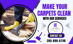 Get First-Class Carpet Cleaning Service!

Birmingham carpet cleaning professionals provide exceptional quality service to our domestic and commercial customers. Our best results are achieved by our expertise in conjunction with the most powerful equipment. For the best clean you’ve ever seen, book your appointment with My Home Carpet Cleaners today!
