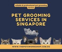 Look no further! Our pet grooming services Singapore offers top-quality services for dogs and cats of all breeds and sizes.

Our experienced and certified pet groomers Singapore provide a range of services, including bathing, hair trimming, nail clipping, and ear cleaning, among others. We use only the highest quality pet grooming Singapore products to ensure that your furry friend receives the best care possible.

Our pet grooming service Singapore also offers a range of add-on services, such as teeth brushing, flea and tick treatment, and de-shedding treatments, among others. We understand that each pet is unique and has specific grooming needs, which is why we offer customized grooming packages tailored to your pet’s specific requirements.

We take pride in our attention to detail and our commitment to providing a stress-free and comfortable experience for your pet. Our spacious and clean grooming facility is equipped with the latest equipment and technology to ensure that your pet receives the best care possible.

So why wait? Schedule your pet’s next grooming appointment with us today and give your furry friend the pampering they deserve! Contact us to learn more about our pet grooming service Singapore and to book an appointment.

Source : https://www.thepetsworkshop.com.sg/