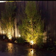 Looking for a Garden Lighting Electrician in Melbourne? Laneelectrical.com.au is your one-stop shop. We've got a wide range of services and products to choose from, and our team of experts are always on hand to help. So why wait? Get in touch today and let us help you make your garden look its best.

https://www.laneelectrical.com.au/garden-lighting/