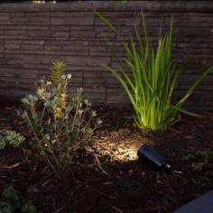 Are you in search of a Garden Lighting Installation in Melbourne? Look at Laneelectrical.com.au! We provide a wide range of garden lighting products and services to suit your needs and budget. Call us today for a free quote!

https://www.laneelectrical.com.au/garden-lighting/
