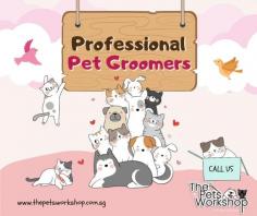 Regular pet grooming Singapore is essential for maintaining the health and happiness of your furry friend. At our pet grooming Singapore salon, we offer a wide range of services to keep your pet looking and feeling their best.

Our professional pet groomers Singapore are experienced and knowledgeable, providing top-quality services that cater to your pet's individual needs. From basic grooming services like bathing and brushing to more specialized services like haircuts, nail trimming, and ear cleaning, we offer a full range of pet grooming Singapore to keep your pet healthy and happy.

We understand that every pet is different, which is why we take a personalized approach to pet grooming Singapore. We work with you to determine your pet's unique needs and preferences, ensuring that they receive the best possible care.

In addition to our grooming services, we also offer pet care advice and recommendations to help you maintain your pet's health and wellbeing between grooming appointments. Our goal is to provide you with peace of mind and ensure that your furry friend receives the care and attention they deserve.

So if you're looking for professional pet grooming services Singapore, look no further than our pet grooming service salon. Contact us today to schedule an appointment and give your furry friend the care they deserve.

Website :https://www.thepetsworkshop.com.sg/