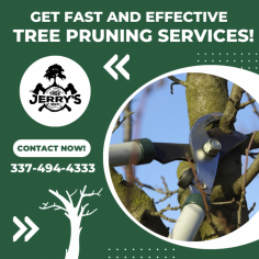 Get Expert Pruning Services for Your Deciduous Tree!

At Jerry’s Tree Service, we provide tree pruning services for better health, and aesthetics, clearing roof lines, & promoting quicker growth. Seasonal pruning also reduces the risk of falling tree limbs during severe weather, helping you safeguard the people, pets, and buildings on your property. Get in touch with us!
