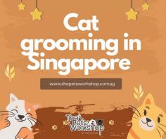 Cat grooming Singapore is a growing industry that provides essential services for cat owners who want to keep their furry companions healthy, happy, and well-groomed. Professional cat groomers offer a range of services, including bathing, nail trimming, ear cleaning, and fur trimming, to help maintain the health and hygiene of cats. Regular grooming can also help to prevent common cat health issues, such as hairballs, fleas, and skin infections, and promote a shiny and healthy coat. In Singapore, there are many cat grooming Singapore salons and mobile grooming services that cater to the needs of different cat breeds and sizes. Some cat groomers even offer personalized grooming packages that are tailored to the individual needs of each cat. By providing expert care and attention to cats, cat grooming Singapore help to improve the overall well-being and quality of life of cats, while providing peace of mind for their owners.
Website : https://www.thepetsworkshop.com.sg/