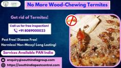 Termites can cause a lot of damage to your home and property. Effective termite control is essential in Hyderabad to prevent costly repairs and health risks. SIPC termite control services provide professional assistance in getting rid of these pests. We use specialized techniques and products to detect, identify, and eliminate termites from your property. Professional termite control in Hyderabad can help you protect your home from these destructive pests. 
Call: 8089000023
Visit: https://southindiapestcontrol.com/termite-control-hyderabad/
