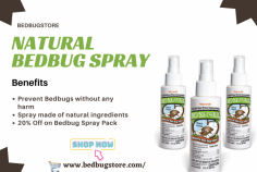 Are you irritate from bedbugs? Buy the natural bedbug killer products that helps to prevent bedbugs without any harm. The natural spray for bedbugs may not harmful to you and your pets also. Get 20% Off on Natural bedbug spray pack. Don't miss, buy online Natural Bedbug spray at Bedbugstore. For more details visit website and contact experts today.