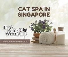 While cats are generally known for their self-grooming habits, there are still several benefits to taking your feline friend to a cat spa in Singapore. Cat grooming singapore offer a variety of services to pamper your cat, such as massages, aromatherapy, and grooming services. These services can help your cat relax and reduce stress levels, promoting overall health and well-being. Additionally, Cat grooming singapore can help to address skin and coat issues, such as matting or dandruff, through specialized treatments and grooming techniques. Regular visits to a cat spa can also allow the groomer to identify and address any underlying health issues, such as ear infections or dental problems, before they become serious. By providing your cat with the opportunity to indulge in some pampering at a Cat grooming singapore, you can ensure that they are happy, healthy, and well-groomed, improving their quality of life and strengthening your bond with them.

Website : https://www.thepetsworkshop.com.sg/