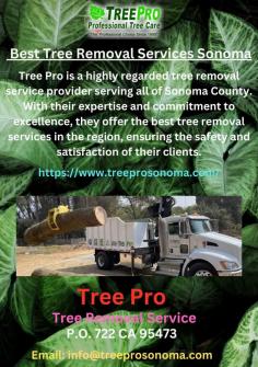 Tree Pro takes pride in their attention to detail and professionalism. They conduct a thorough assessment of each tree removal project, considering factors such as tree condition, location, and potential hazards.