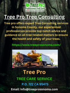 Santa Rosa Tree Removal best Tree Services Tree Care, Fire Clearance. Contact us now for fast Tree Removal service.
https://www.treeprosonoma.com/