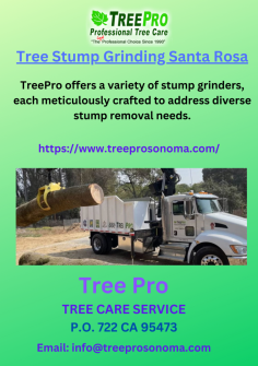 Santa Rosa Tree Removal best Tree Services Tree Care, Fire Clearance. Contact us now for fast Tree Removal and Tree Stump Grinding Santa Rosa service.
