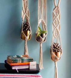 Get Upto 32% OFF on Off White Macrame Designer Hanging Planter (Set of 3) at Pepperfry

Plant stand: Shop for Off White Macrame Designer Hanging Planter (Set of 3) at Pepperfry.
Explore exclusive collection of plant stand & avail upto 32% OFF online.
Shop now at https://www.pepperfry.com/product/off-white-macrame-designer-hanging-planter-set-of-3-by-ecofynd-2010060.html