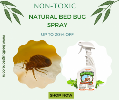 Get rid of bed bugs the safe and natural way with our non-toxic bed bug spray. Our formula uses natural ingredients to kill bed bugs and their eggs on contact, without any harsh chemicals or fumes. Bedbugstore provides the natural bed bug spray that kill bed bugs in your home without any harm. Shop now at save 20% Off  and sleep better tonight!