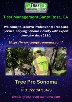 Pest Management Santa Rosa , Santa Rosa Tree Removal best Tree Services Tree Care, Fire Clearance. Contact us now for fast Tree Removal service. 
https://www.treeprosonoma.com/